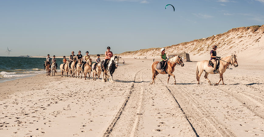 Argab Gruppen Ausritt in Hvide Sande