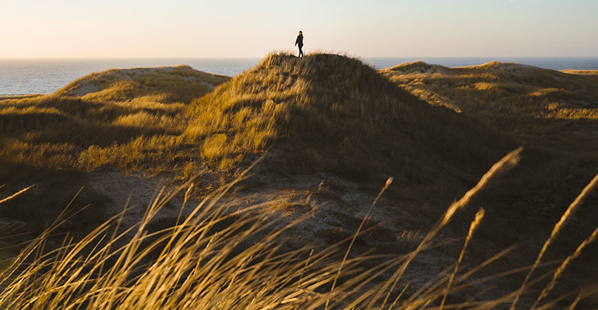 Henne Strand Dünen