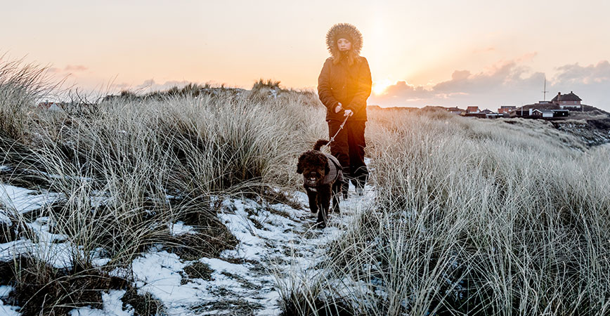 Dänemark mit dem Hund im Winter